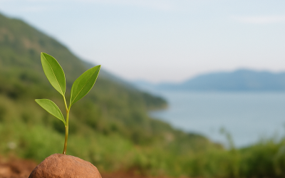 Resilienz – Deine innere Stärke für ein erfülltes Leben